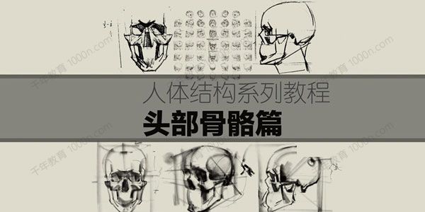 祝凯《人体结构系列素描课程》头部骨骼[MP4/2.58GB]
