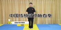 凯叔-中国传统武术咏春拳儿童启蒙课